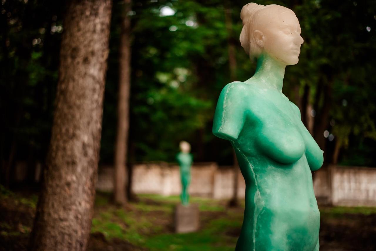 Edem Resort Medical & Spa Strelki  エクステリア 写真